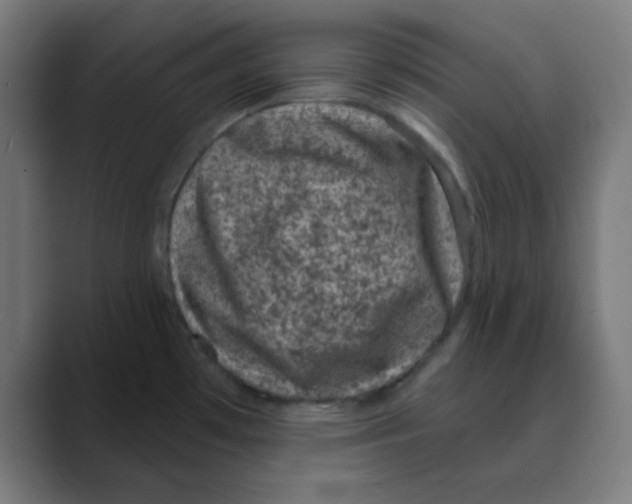 X0000088431481200706191225