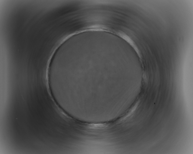 X0000088431482200706191225
