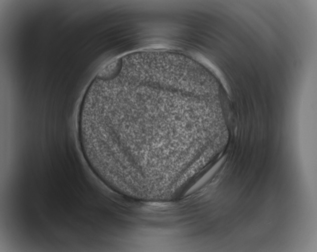 X0000088431483200706191225