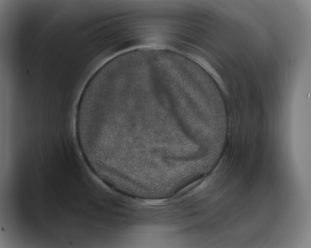 X0000088431484200706191225