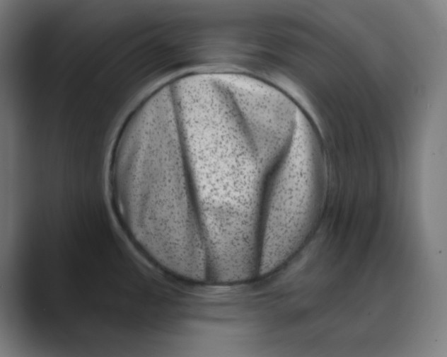 X0000088431485200706191225