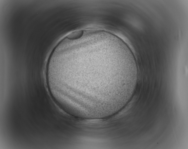 X0000088431486200706191225