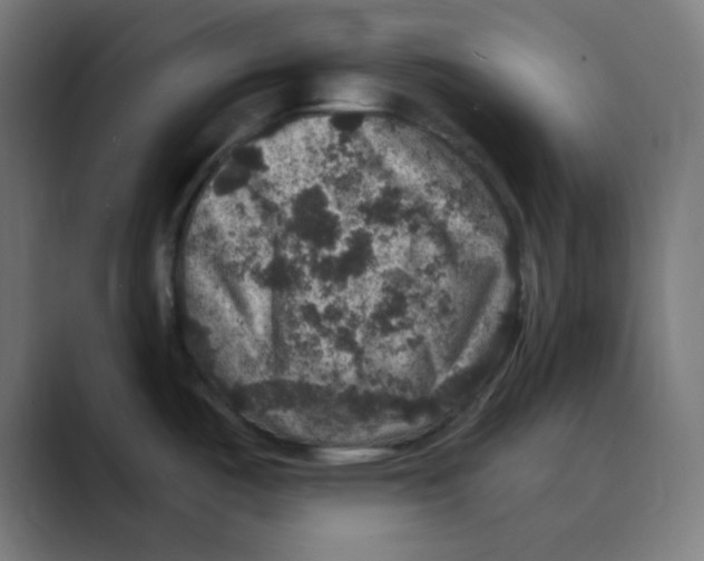 X0000088431487200706191225