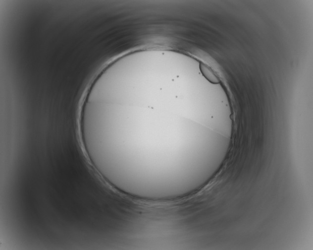 X0000088431488200706191225