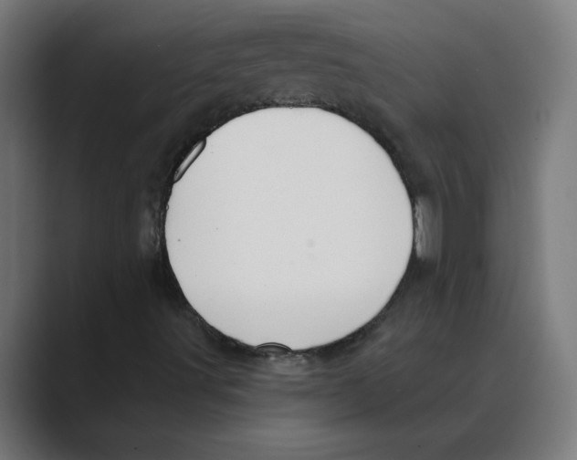 X0000088431491200706191224