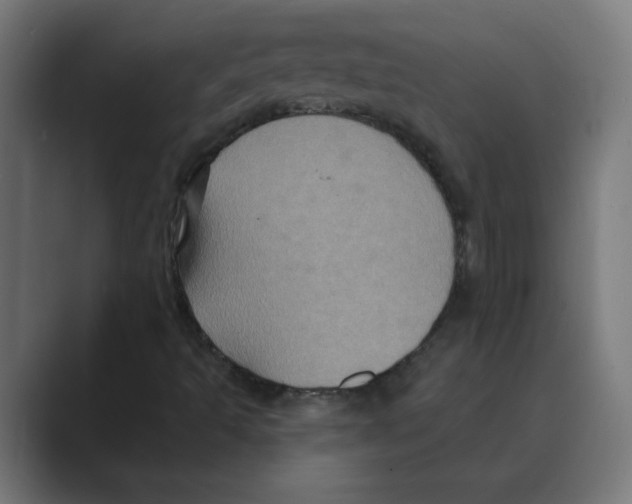 X0000088431493200706191224