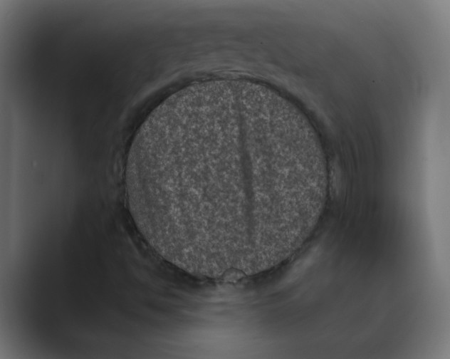 X0000088431494200706191224