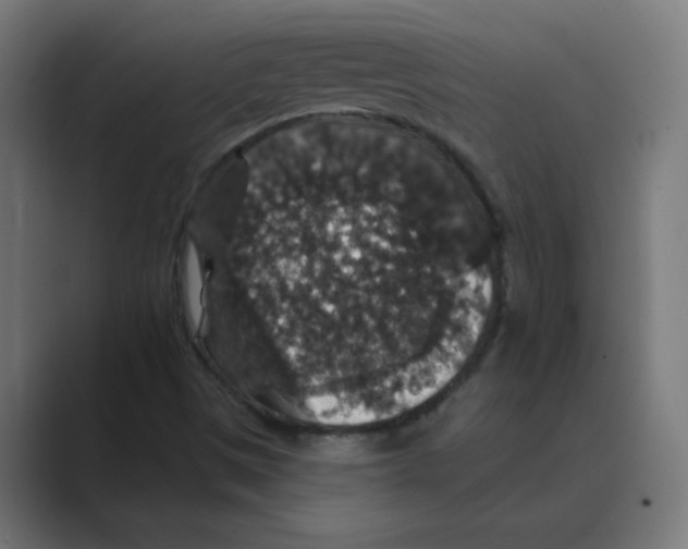 X0000088431497200706191224
