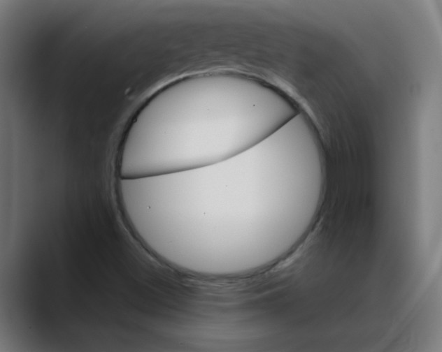 X0000088431500200706191224
