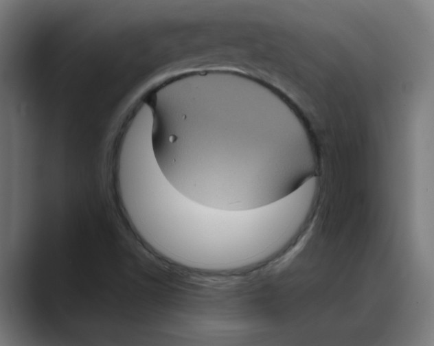 X0000088431502200706191224