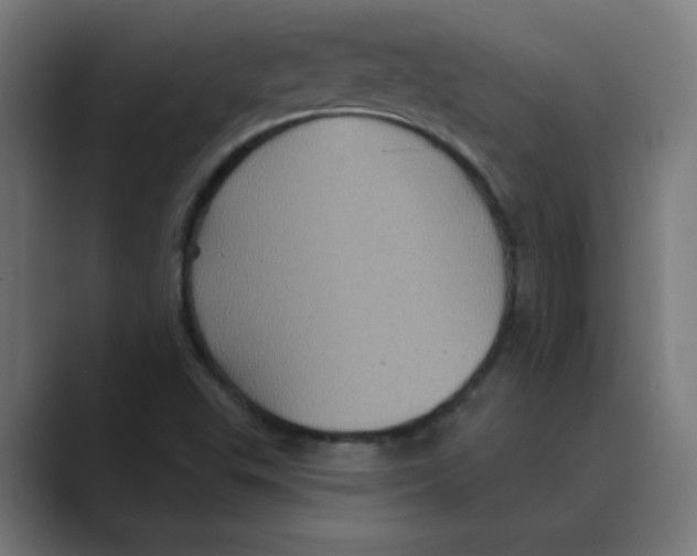 X0000088431503200706191224