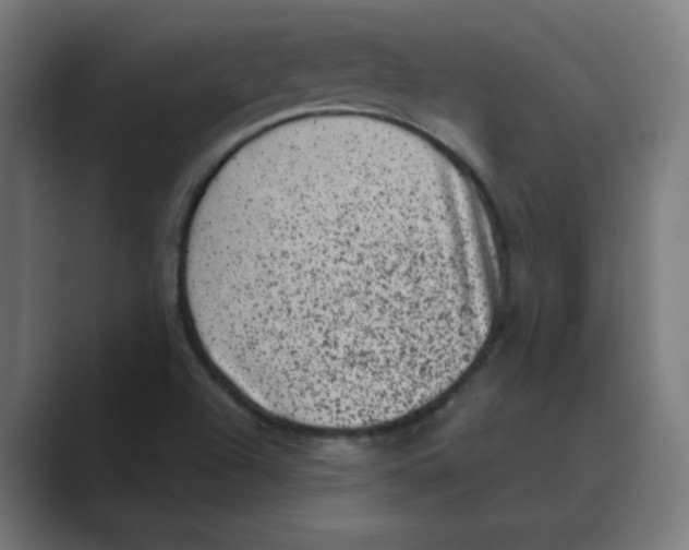 X0000088431504200706191224