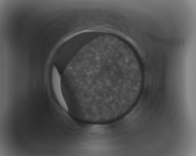 X0000088431506200706191224