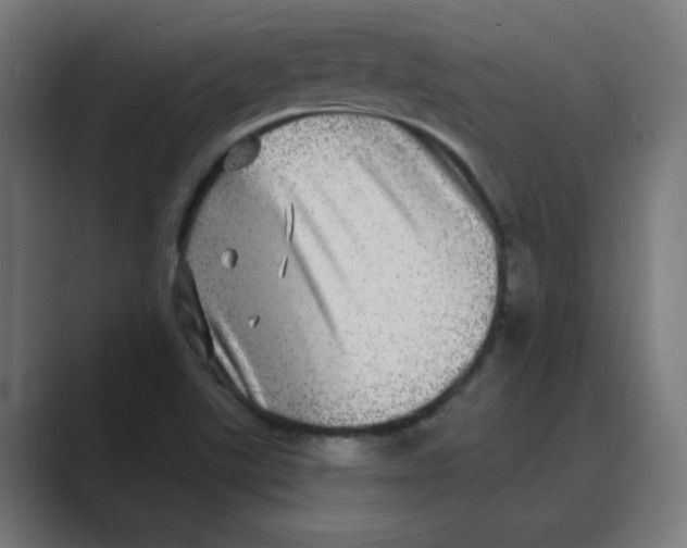 X0000088431507200706191224