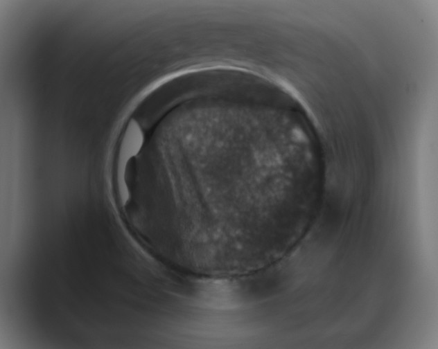 X0000088431508200706191224