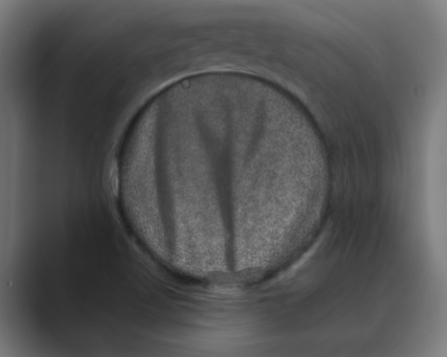 X0000088431509200706191224