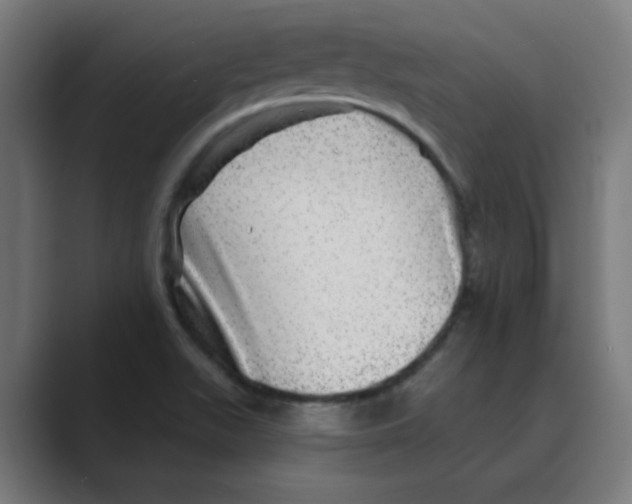 X0000088431511200706191224