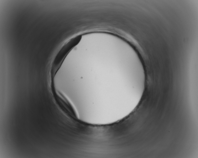 X0000088431512200706191224