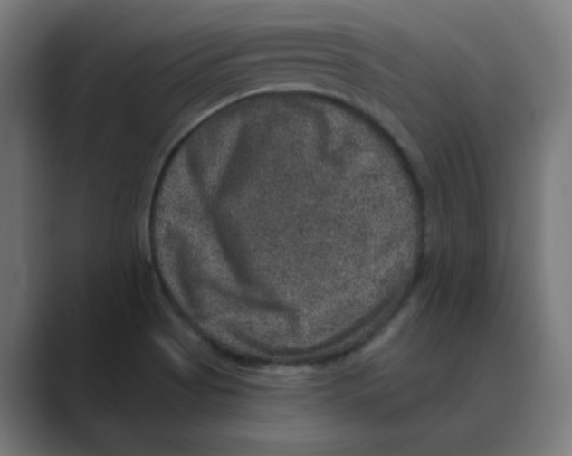 X0000088431513200706191224