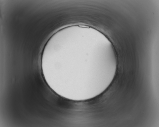 X0000088431516200706191224