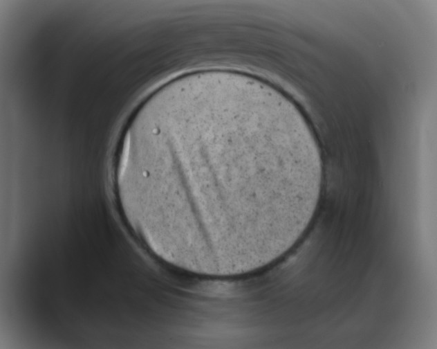 X0000088431517200706191224