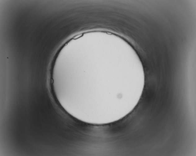 X0000088431518200706191224