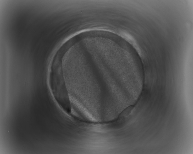 X0000088431520200706191225