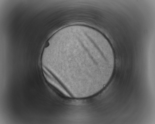 X0000088431521200706191225