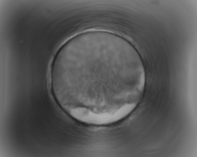 X0000088431522200706191225