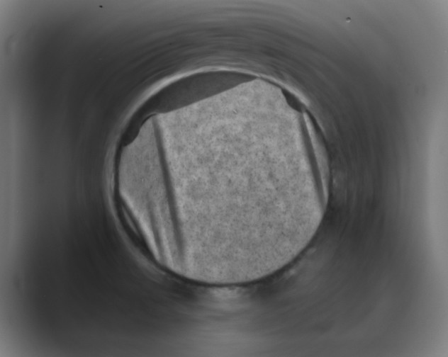 X0000088431523200706191225