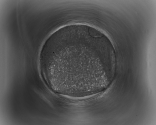 X0000088431525200706191225