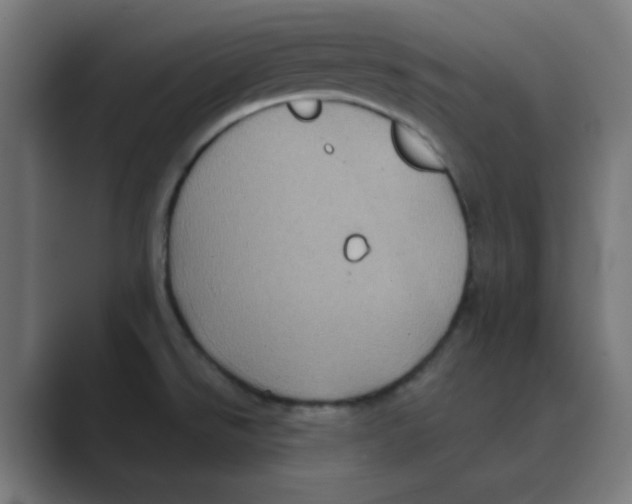 X0000088431526200706191225