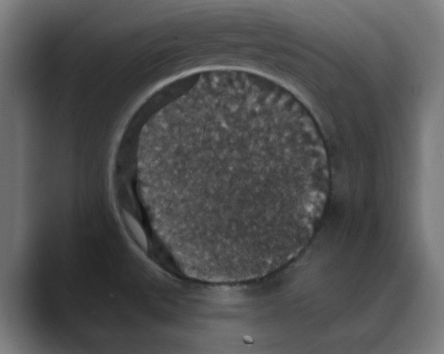 X0000088431527200706191225