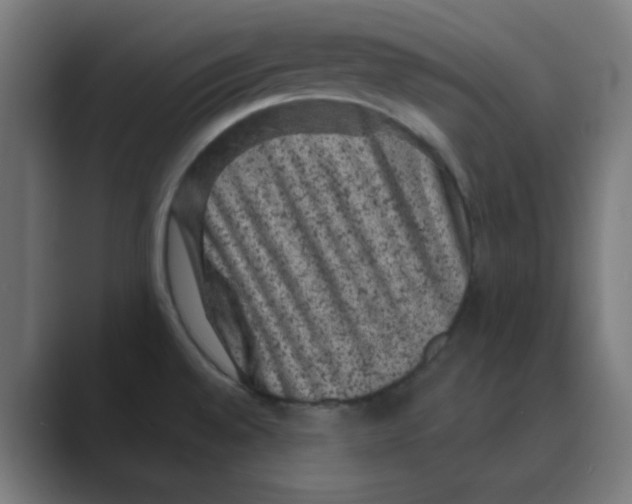 X0000088431528200706191225
