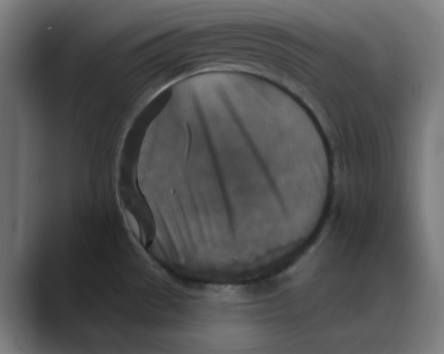 X0000088431529200706191225