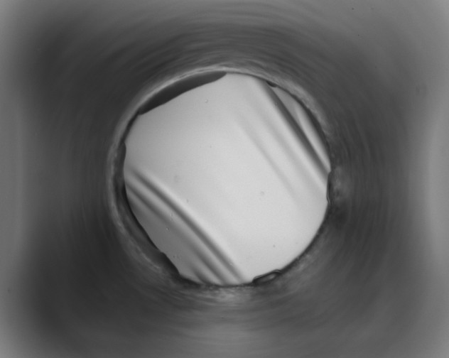 X0000088431530200706191225