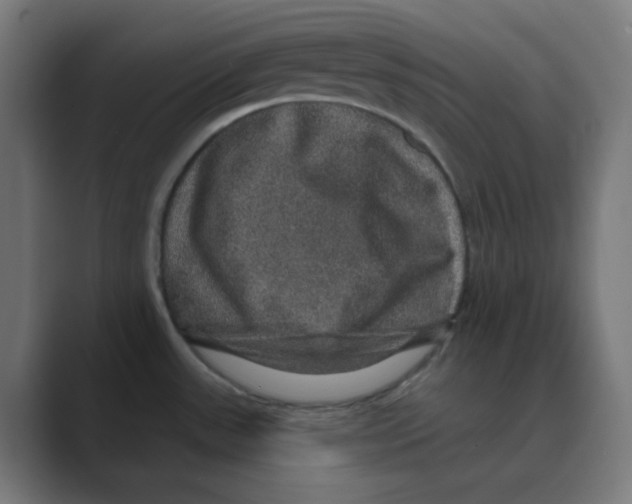 X0000088431531200706191225