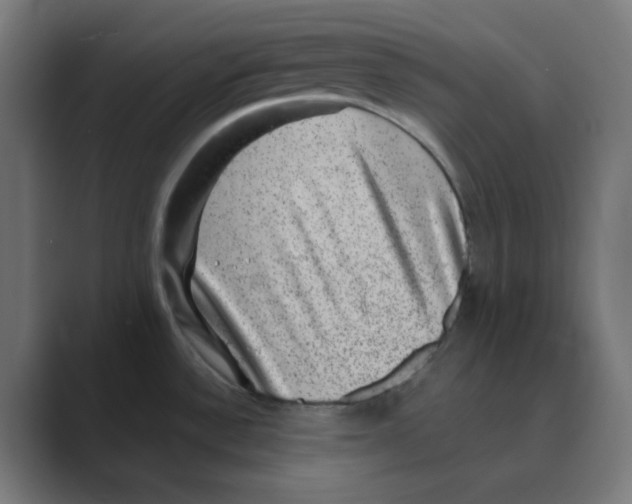 X0000088431532200706191225