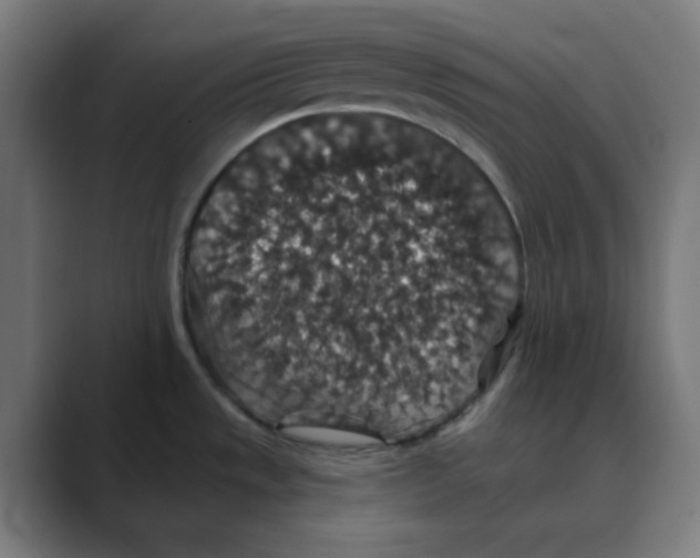X0000088431533200706191225