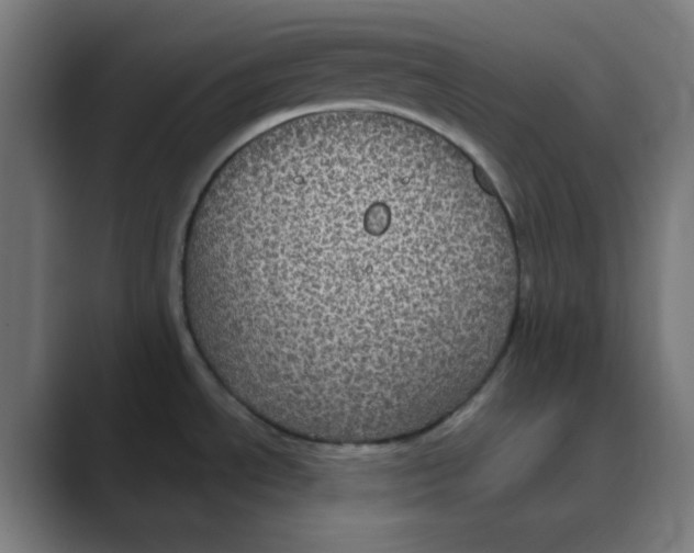 X0000088431534200706191225