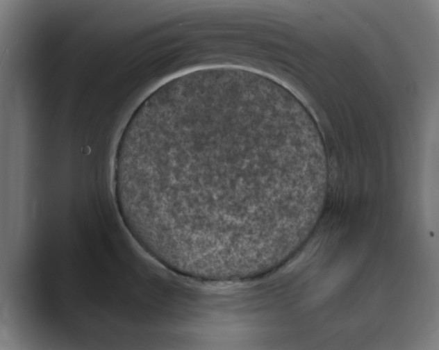 X0000088431535200706191225