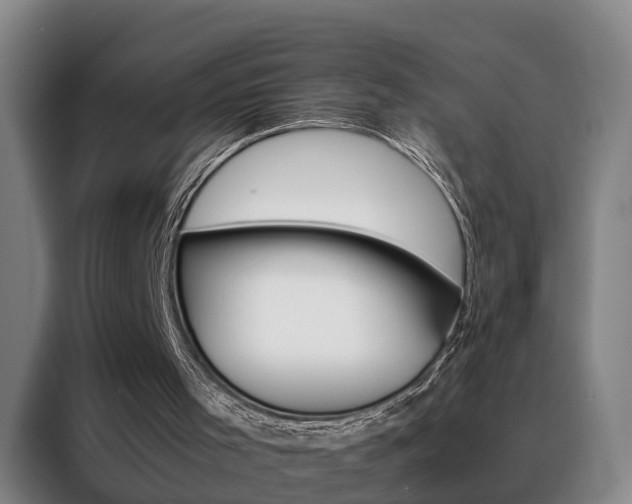 X0000088440001200705220924