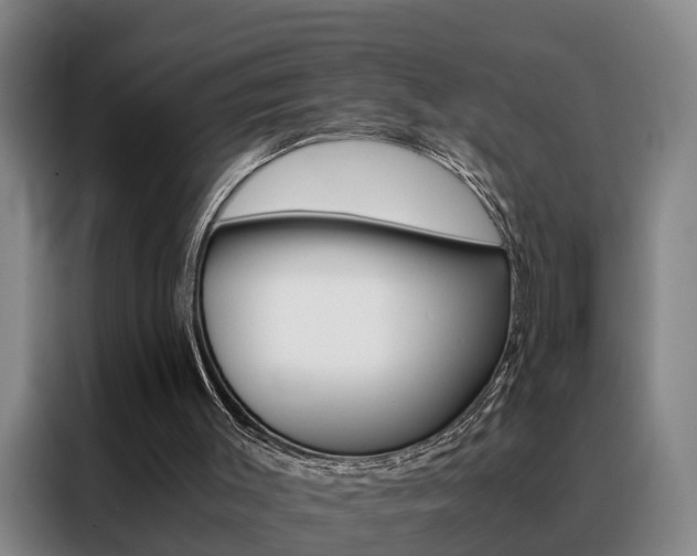 X0000088440003200705220924