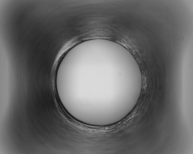 X0000088440004200705220924