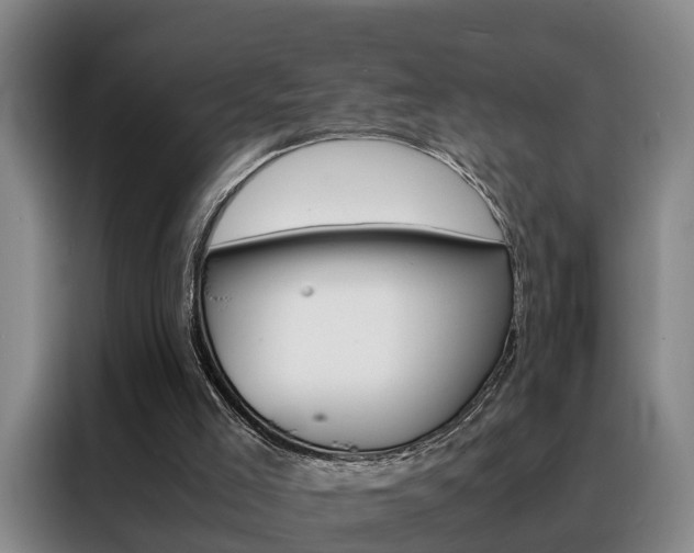 X0000088440005200705220924