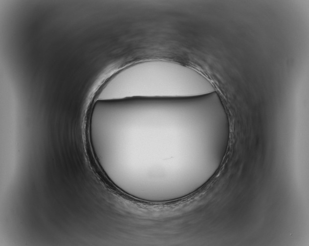 X0000088440006200705220924
