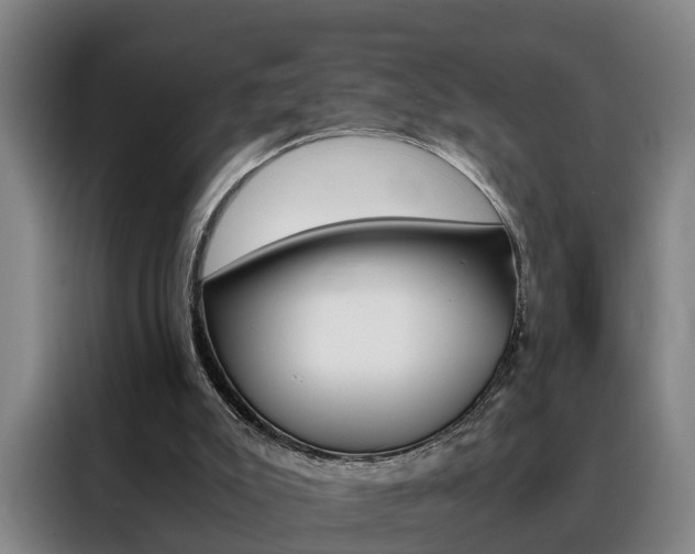 X0000088440007200705220924