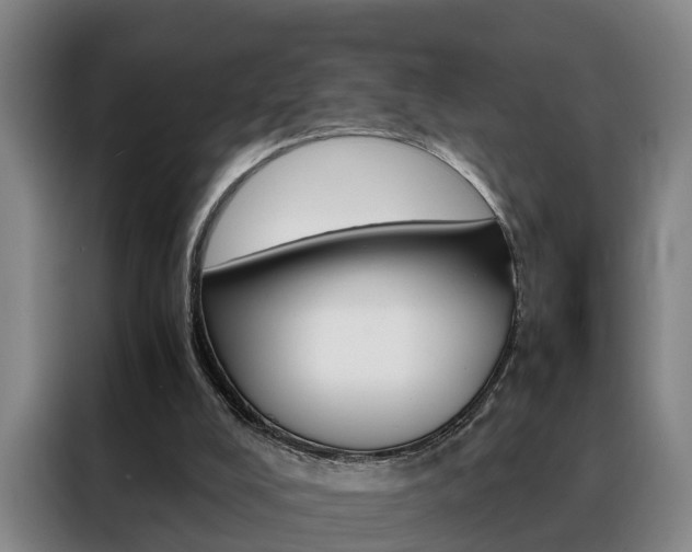 X0000088440008200705220924