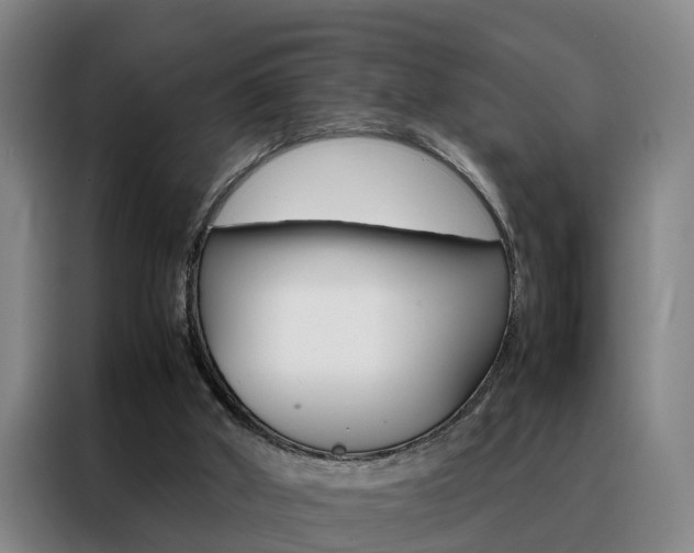X0000088440010200705220924