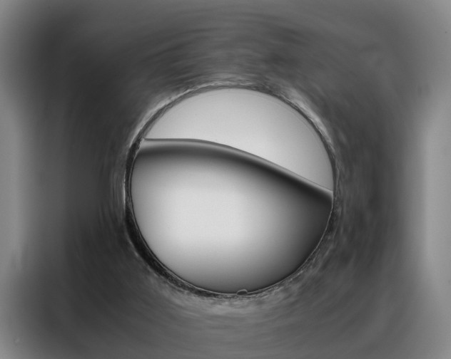 X0000088440011200705220924